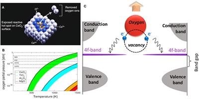 Oxygen Defects and Surface Chemistry of Reducible Oxides
